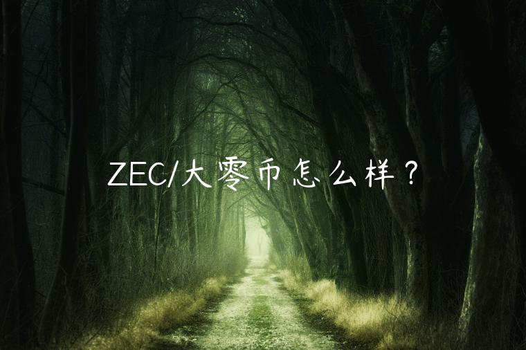 ZEC/大零币怎么样？