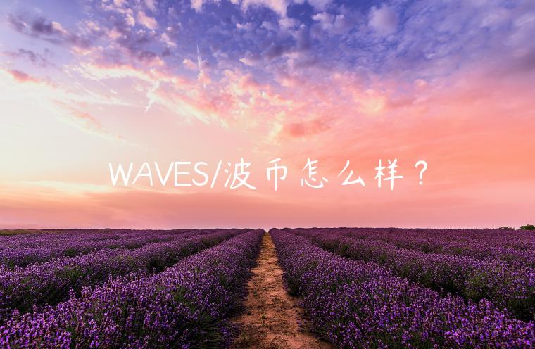 WAVES/波币怎么样？