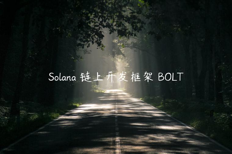 Solana 链上开发框架 BOLT